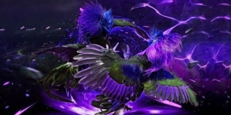 Lý Do Đá Gà WS168 Tại x5bet Được Yêu Thích