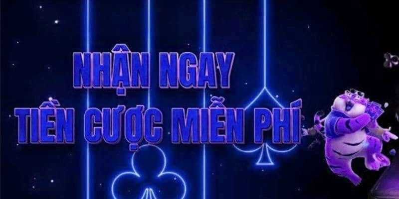 Những điều cần lưu ý khi tham gia chương trình hoàn trả tại x5bet